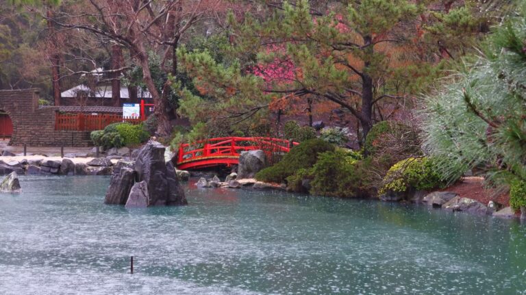 Rainy Japanese Garden